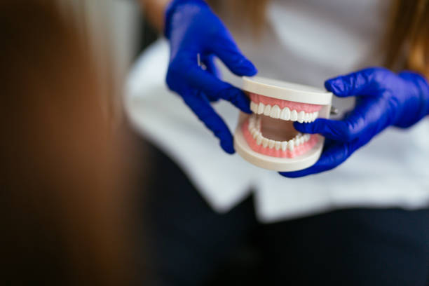 Professional Holistic Dental Care Services in Cumings, TX